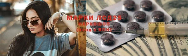 прущий лед Богданович