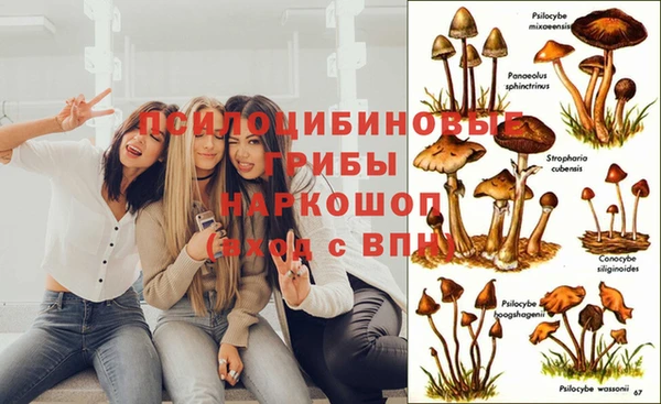 мефедрон Богородицк