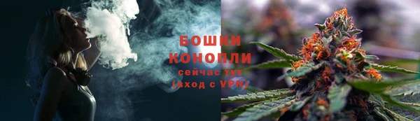 прущий лед Богданович