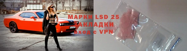 прущий лед Богданович