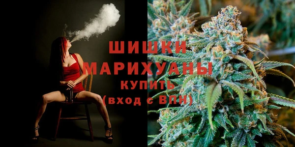прущий лед Богданович