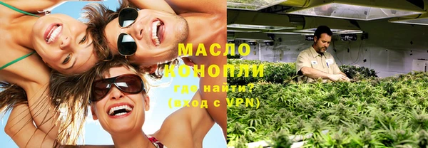 индика Бородино