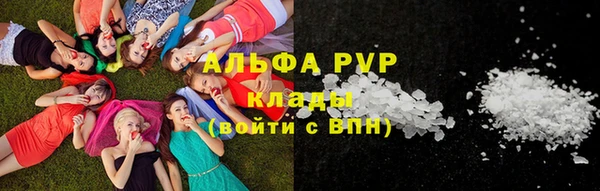 прущий лед Богданович