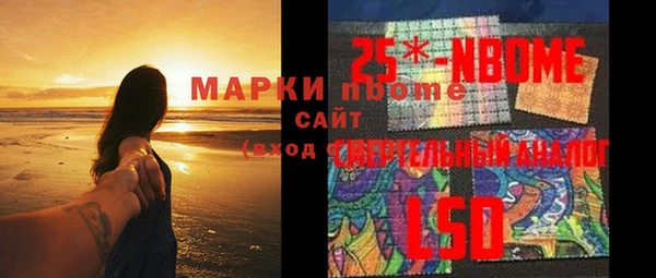 прущий лед Богданович