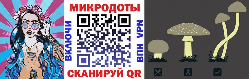 как найти наркотики  Белореченск  Псилоцибиновые грибы мухоморы 