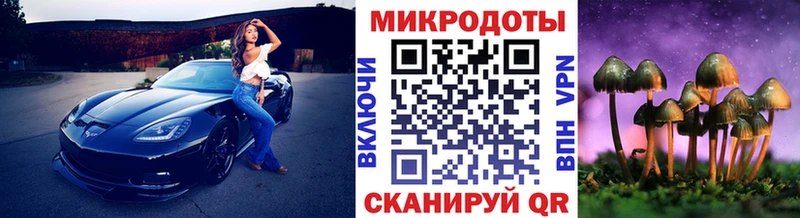 Галлюциногенные грибы Cubensis Белореченск