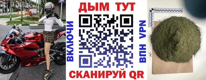 Конопля конопля  магазин продажи наркотиков  Белореченск 